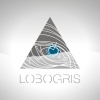 Projekt LOGO Projekt logo dla firmy LOBOGRIS, zajmującej się drukiem cyfrowym indywidualnych projektów. Fotoksiążek, kalendarzy.