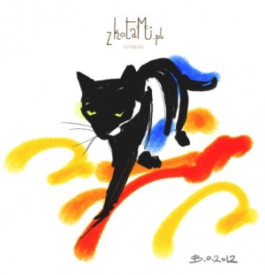 Czarny kot w kolorze